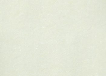 Gach lat nen P10703N