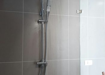 5 thương hiệu sen cây được ưa chuộng nhất hiện nay