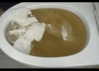 Tổng hợp ý kiến chuyên gia bồn cầu bị nghẹt do dùng giấy vệ sinh