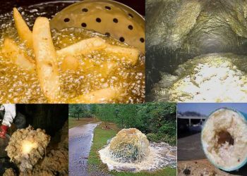 8 thứ không được vứt vào bồn cầu vì cực kỳ “nguy hiểm”