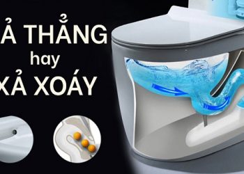 Review nên dùng bồn cầu xả thẳng hay xả xoáy?