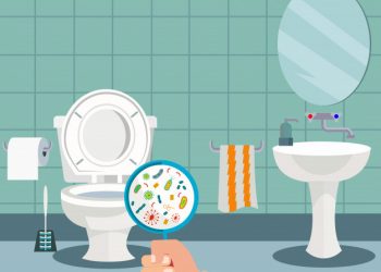 Nên mở hay đóng cửa nhà vệ sinh sau khi sử dụng? 