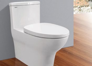 Nhung-cai-tien-hien-dai-ung-dung-trong-bon-cau-Viglacera-V37