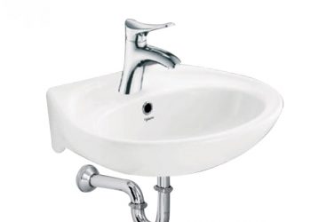 Ly-do-nen-chon-chau-rua-treo-tuong-Viglacera