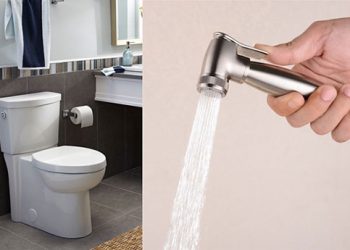 Tim-hieu-ve-voi-xit-ve-sinh-khai-niem-cau-tao-phan-loai