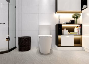 Top các mẫu bồn cầu giá rẻ cho phòng trọ bán chạy 2025